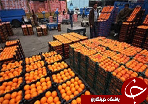 ذخیره‌سازی 700 تن میوه شب عید در کهگیلویه و بویراحمد