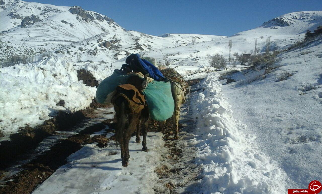 جاده که نیاز به توجه دارد! + عکس