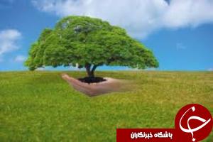 تجلیل از واحدهای صنعتی وخدماتی سبز  در تهران