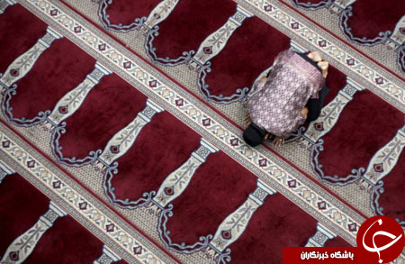 گشتی در تصاویر خبری دوشنبه 26 بهمن/ از تعیین قد و وزن بچه زرافه تا پرواز جنگنده&zwnj;های عقاب سیاه
