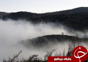 تداوم هوای بهاری در گيلان