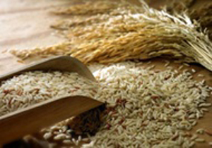 بهترین مواد غذایی برای افزایش انرژی