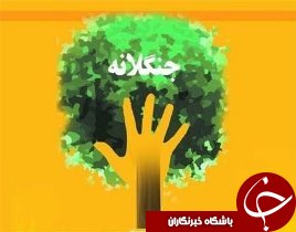 طرح جنگلانه در اراضی خرمشهر اجرا شد
