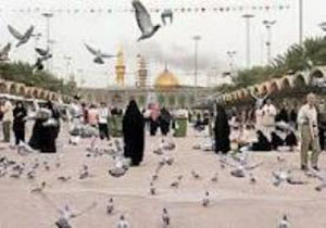 3 پرواز در هفته به عتبات عالیات