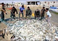 پساب حوضچه های پرورش ماهی در خوزستان