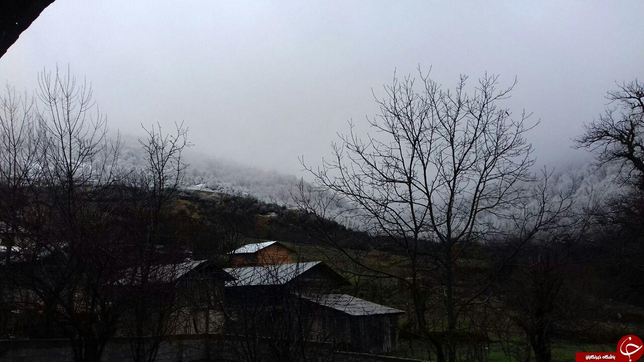 طبیعت بکرعشراستاق+ عکس