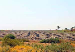واگذاری ۲۸فقره زمین در بندرلنگه به متقاضیان