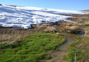 جلوی زیبای طبیعت در روستای ایمانلو + تصاویر