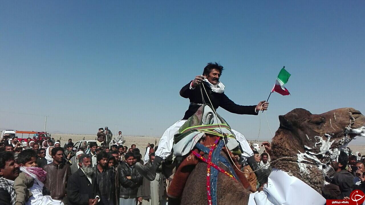 برگزاری مسابقات شتر دوانی در سیستان و بلوچستان + تصاویر