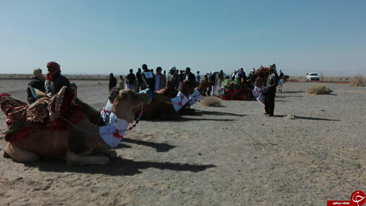 برگزاری مسابقات شتر دوانی در سیستان و بلوچستان + تصاویر