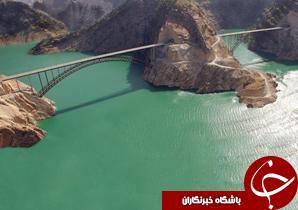 نابودی درختان بلوط نتیجه ساخت سد کارون3