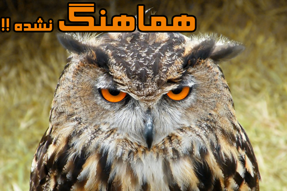لطفا برای دیدن این گزارش بدون هماهنگی وارد شوید +فیلم