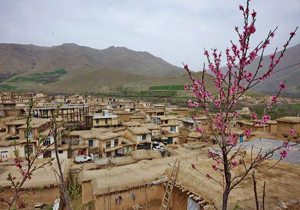 حمایت ویژه دولت از طرح های مشارکتی در مناطق محروم و روستایی
