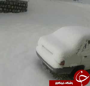 ارتفاعات گنو سفیدپوش شد+تصاویر