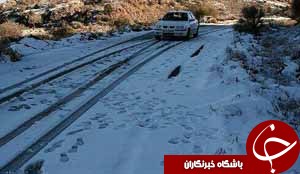 ارتفاعات گنو سفیدپوش شد+تصاویر