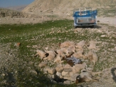 مرگ ومیر بیش از 300 رأس دام دربخش مرکزی دهلران