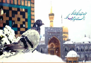زمستان امسال "میهمان امام رضا" باشید
