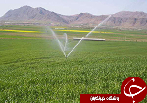 تجهیز 187 هكتار از مزارع كرمان به آبياری تحت فشار