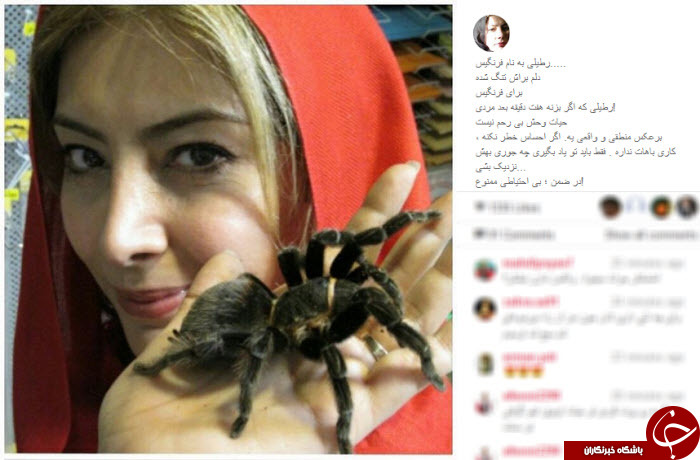 بسته اینستاگردی