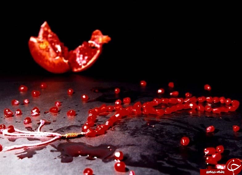 از واگذاری پدیده شاندیز تا سارق اینترنتی 16 ساله