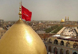 زارع: اعزام بیش از 11 هزار دانشجو به عتبات/زائران 1 و نیم میلیون تومان وام میگیرند
