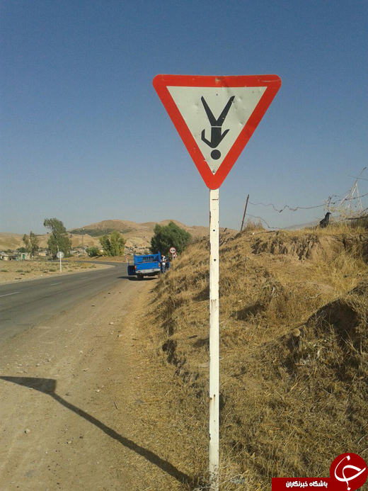 + تصاویر