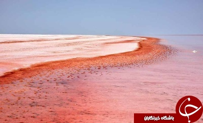 شورترین دریاچه جهان / دریاچه  آفتاب پرستی که رنگ عوض میکند/ آفتاب پرست دریایی +تصاویر