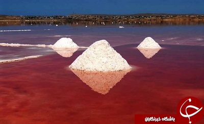 شورترین دریاچه جهان / دریاچه  آفتاب پرستی که رنگ عوض میکند/ آفتاب پرست دریایی +تصاویر
