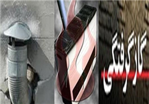 قاتل خاموش جان مادر و فرزند را گرفت