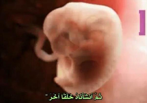 اعتراف تازه دانشمندان غربی به اعجاز قرآن