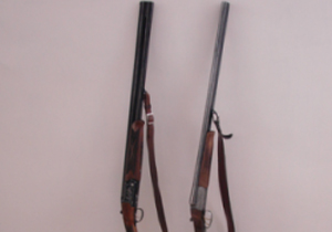 کشف سه قطعه پرنده هوبره در شهرضا