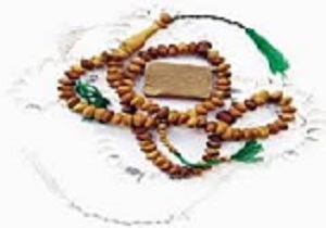 بهزیستی بهترین مجری ترویج نماز در مهدهای کودک است