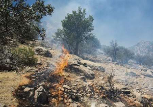 مهار آتش سوزی در پناهگاه حیات وحش  میانکاله