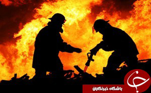 تولد نوزاد عجول تا ریزش کوه در یک کلیک