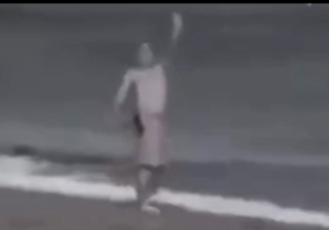 لحظه شکار انسان توسط نهنگ قاتل + فیلم