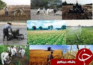 تغییر الگوی کشت در کرمان