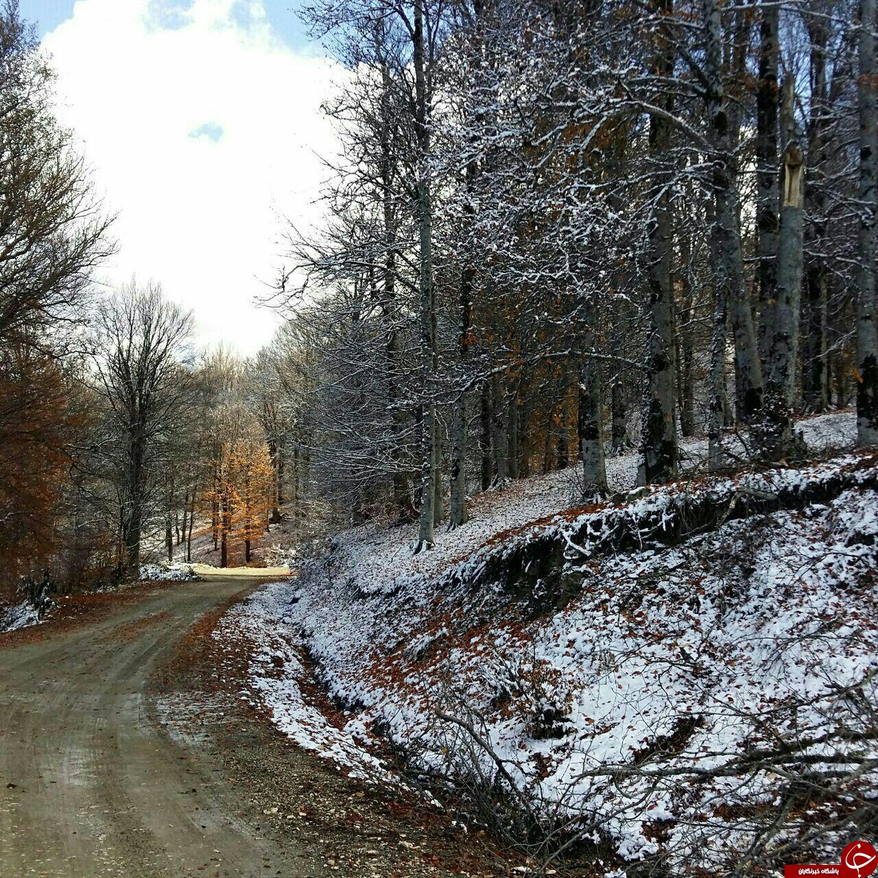 مناظر زیبای زمستانی در روستای رادکان + تصاویر