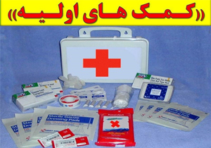 آموزش کمک‌های اولیه از جعبه‌ جادو وارد خانه‌ها می‌شود