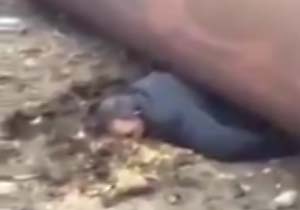لحظه وحشتناک سقوط ستون آهنی روی یک کارگر (16+) + فیلم