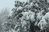 بارش برف و باران در استان  گیلان