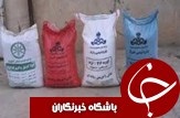شکوفه دادن درختان گوجه سبز در شهرستان ماسال