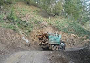 کشف محموله چوب قاچاق میلیونی در شهرستان استهبان