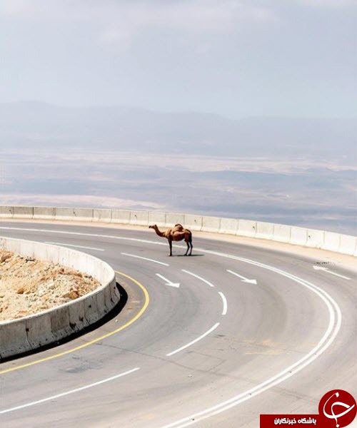 بهترین تصاویر کاربران از نگاه اینستاگرام +15 عکس