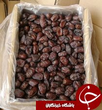 توليد بیش از 1هزار تن خرما در هنديجان