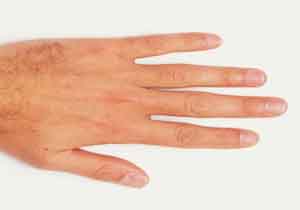 مچ گیری افراد از روی اندازه دست+ عکس