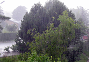 هرمزگان بارانی می شود