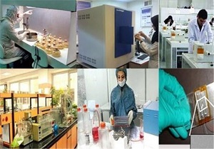 افزایش شرکت‌های دانش بنیان در اردبیل