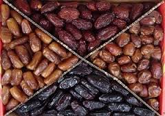 تجارت سازی ارقام خرما در خوزستان