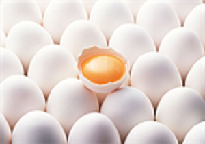 اجرای طرح تشديد نظارت بر عرضه‌ی تخم مرغ و تخم بلدرچين در قزوين