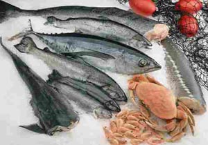 نرخ ماهی و میگوی پرورشی +جدول